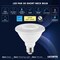 Luxrite PAR30 Short Neck LED Light Bulbs 11W 75W Equivalent 900LM 3000K Soft White E26 Base, 4PK LR31611-4PK - alternate 3